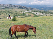 Italy-Abruzzo/Molise-Colle dell'Orso - through the Valley of the Bear